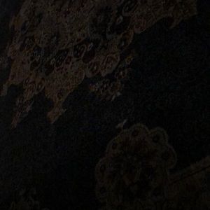 Meet your Posher, Adam